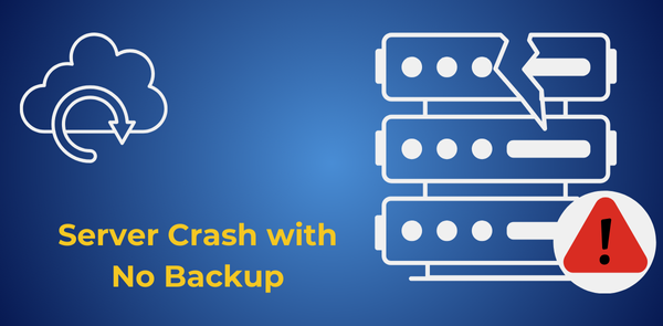 Server Crash with No Backup
